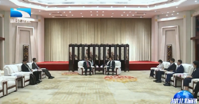 马国强会见马来西亚国会上议院副议长努尔·贾兹兰