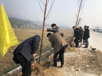 罗田县司法局开展植树活动