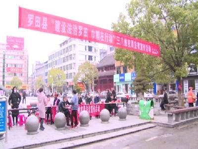 罗田县妇联举行妇女维权周普法宣传活动
