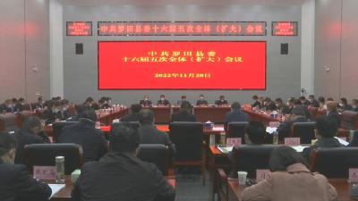 中共罗田县第十六届委员会第五次全体会议举行