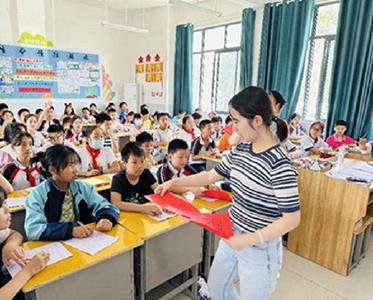 凤山镇财政所组织开展未成年人保护法宣传教育活动