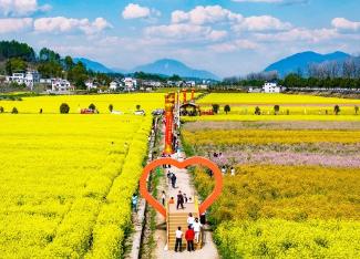 光影 | “多彩旅游路，百里油菜香”主题文艺大赛摄影类入围作品欣赏
