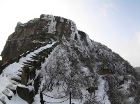 天台雪景