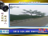 曝光台 | “三城同创”：不文明行为曝光（2）