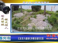 曝光台 | “三城同创”：不文明行为曝光（2）