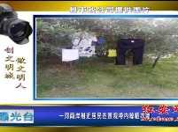 曝光台 | “三城同创”：不文明行为曝光（2）