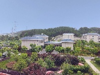 校园绿化