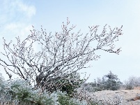 雪后初霁的红安老君山