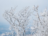 雪后初霁的红安老君山