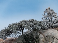 雪后初霁的红安老君山