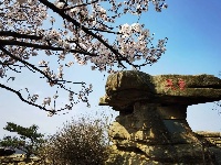 天台山国家森林公园