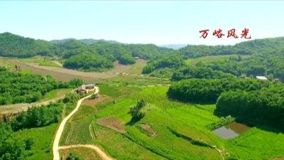 万峪河乡召开“端午节”节前廉政提醒 暨警示教育会