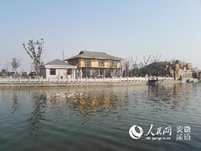 临泉：种下“情感树” 趟岀致富路