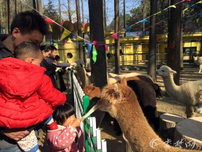 13日进入"七九"大地渐回春 十堰维持较好天气