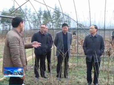 房县新闻20170220