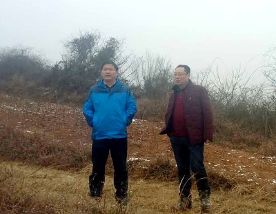 军店镇过年不忘招商