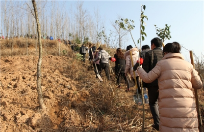 湖北日报关注房县绿化荒山工作 