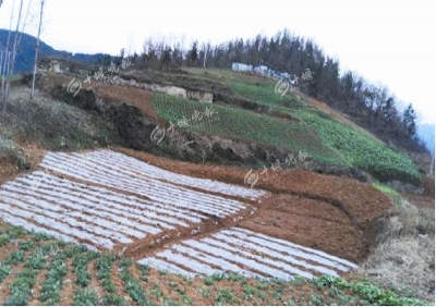 房县清代叶家坛罐窑的前世今生