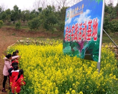 青峰小学着力开发综合实践活动基地