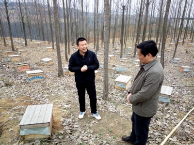 肖大有到回龙乡调研精准扶贫工作