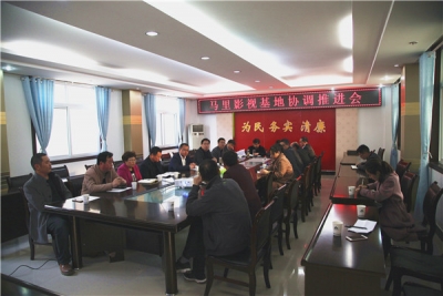 王宇星 高勇参加马里影视基地协调推进会