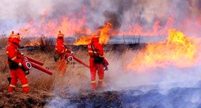 全县今日发生3起森林火情 森林防火刻不容缓