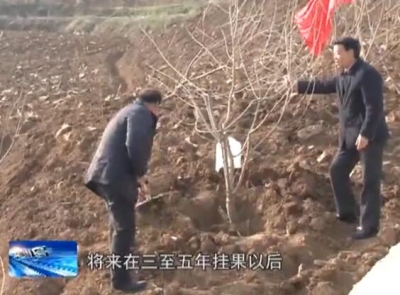 房县新闻20170301 