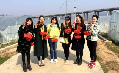 房县广播电视台“半边天”们别样的三八节