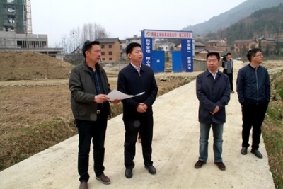 纪道清调研土城镇黄酒民俗村项目建设情况