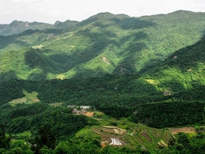 房县植树造林任务完成九成
