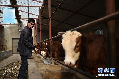 [治国理政新实践·宁夏篇]精准路径拔“穷根”