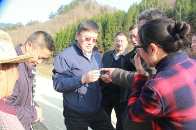 张绍明来房调研法治政府建设工作