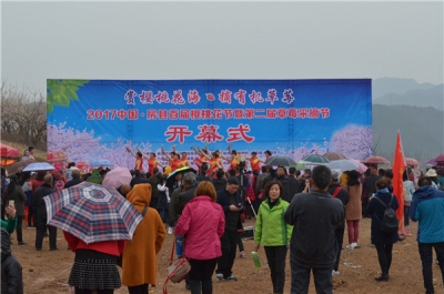 房县举办首届樱桃花节暨第二届草莓采摘节