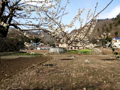 精准扶贫“春季攻势”随感