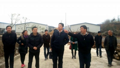 陈刚调研军店镇基层党建和集体经济增收