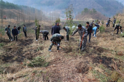 窑淮镇党员干部掀起植树造林新高潮