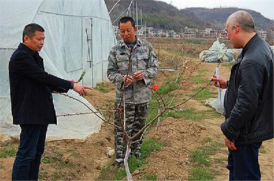 房县万名农民田间地头喜迎“科技特派员” 