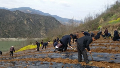 姚坪乡“上午学下午做”  扎实践行“两学一做”