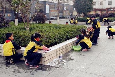 东城小学 爱绿护绿，靓洁校园，我们在行动