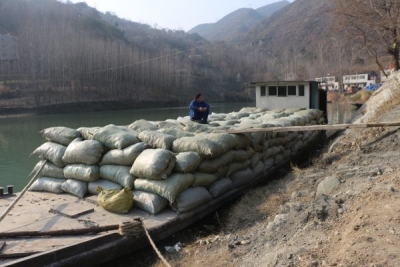 姚坪乡黄姜喜获丰收