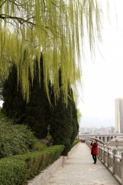 房县重拳治理中小河流水环境