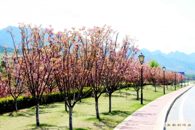 县地税局开展履职尽责工作汇报会 