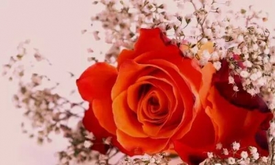 房县工商局成功调解一起预付卡纠纷案件