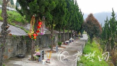 新型生态葬在十堰逐渐获认可 近四年新增11名逝者选择树葬