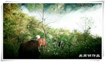 丹江口市13个部门59个行政审批事项实现网上审批