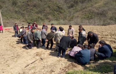 房县多举措抓蔬菜春播生产