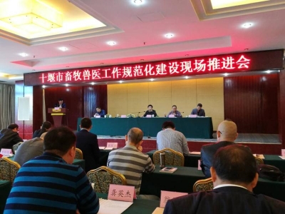 房县乡村兽医诊疗点建设亮相全市畜牧兽医工作规范化 建设现场推进会 