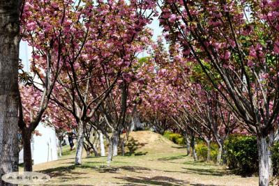 关于领导干部报告个人有关事项新规,中组部这么说