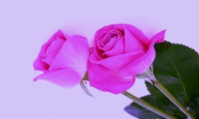 实验中学精准发力帮扶学困生