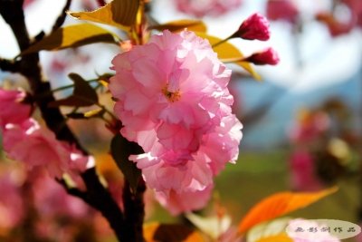 房县工商局“四个一”开展世界读书日系列活动 